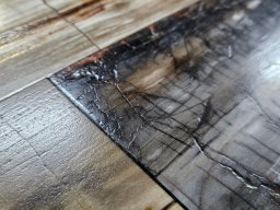 Brushed Petrified Wood Plank Flooring